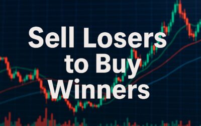 Financial Security Secrets: Why Winners Win and Diversification Isn’t Always the Answer